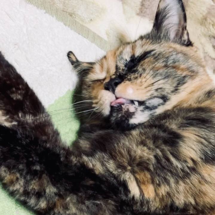 Dbe21a87 f014 4ef2 8467 8e50807b47e1 1732471846011