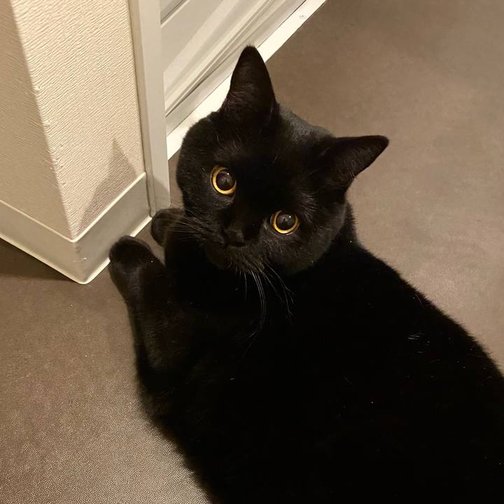 Dbe2544b f731 4ac5 a05d 71f107f2f256 1700660935589