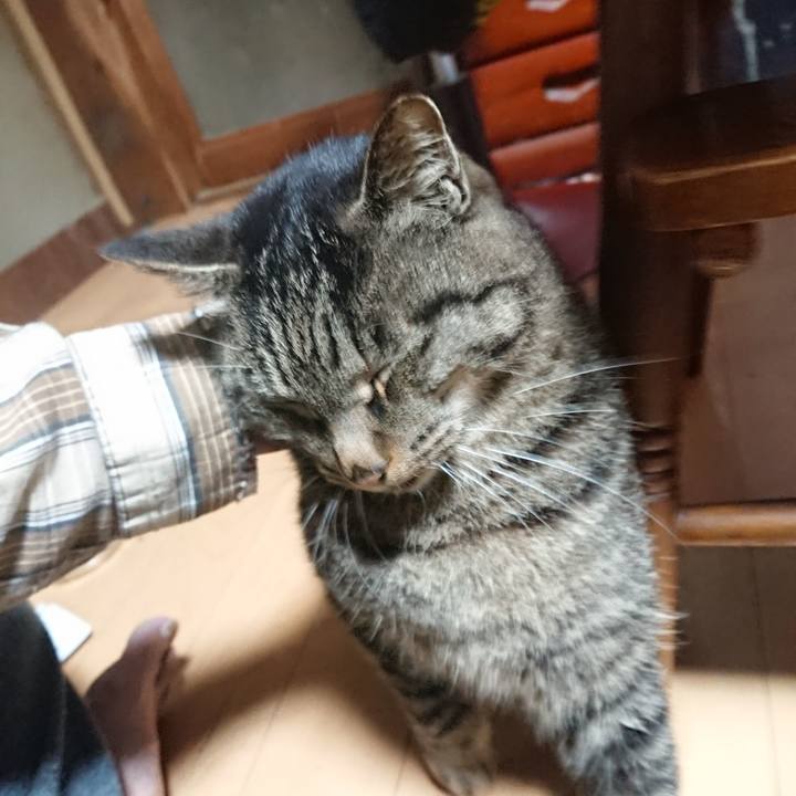 Dbe27d26 edbc 46f6 8025 5484a4c22a20 1636838801911