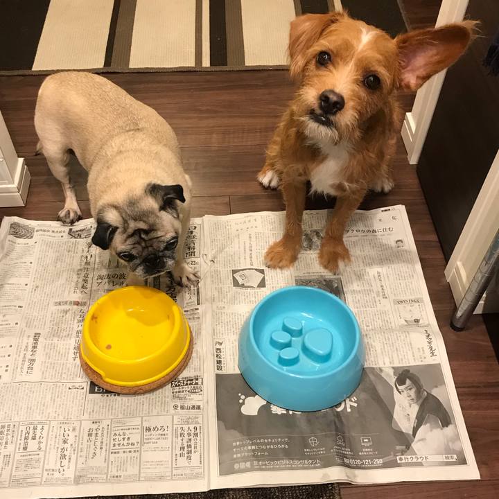 Dbe28d24 747a 46e3 829b 2a5245978e57 1570019666664