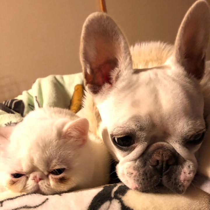 Dbe29f48 75ae 4277 95a4 565fa1757a15 1550302288951