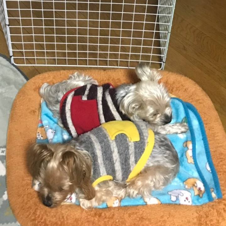 Dbe2c720 e965 4e2f a698 d104e4e04fa5 1576486802827