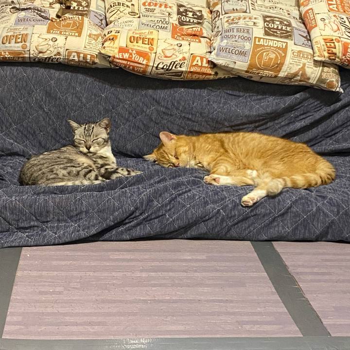 Dbe2dc53 723e 46c3 ae80 4d824587c4f4 1664828461786