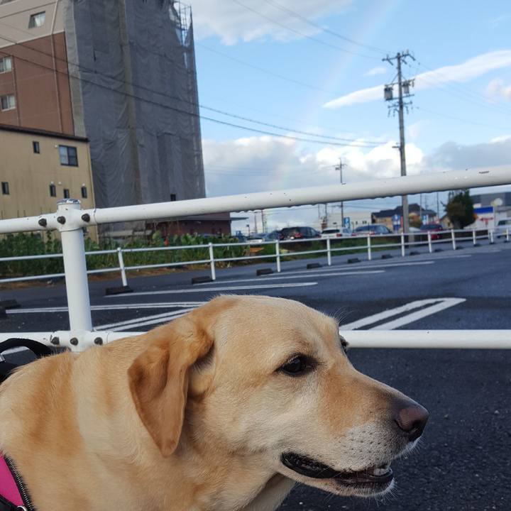 Dbe3007c 8406 4048 94ce 125c7f527149 1570148544665