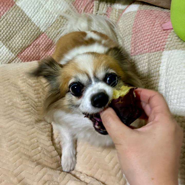 Dbe310c3 fbb5 4102 ae03 c36f5e5330d5 1765803383576