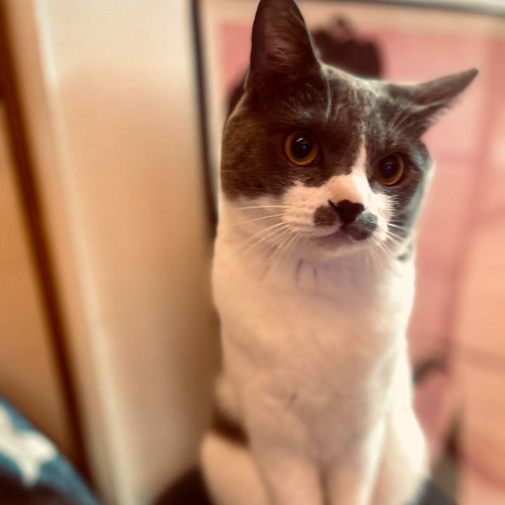 Dbe32207 764a 4a7b 8d18 9d18f3f85065 1623304862046