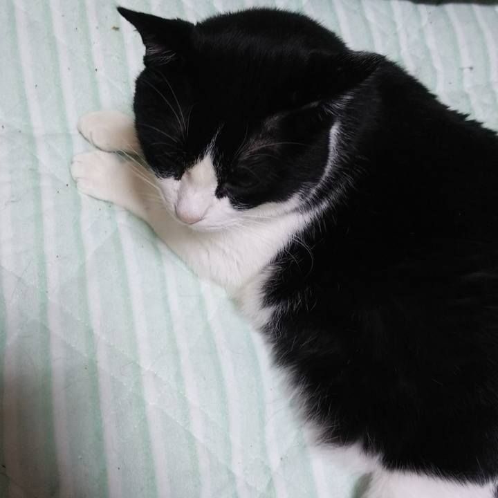 Dbe3af54 7f92 4fa6 9672 a637ccc3f2fa 1535416537521