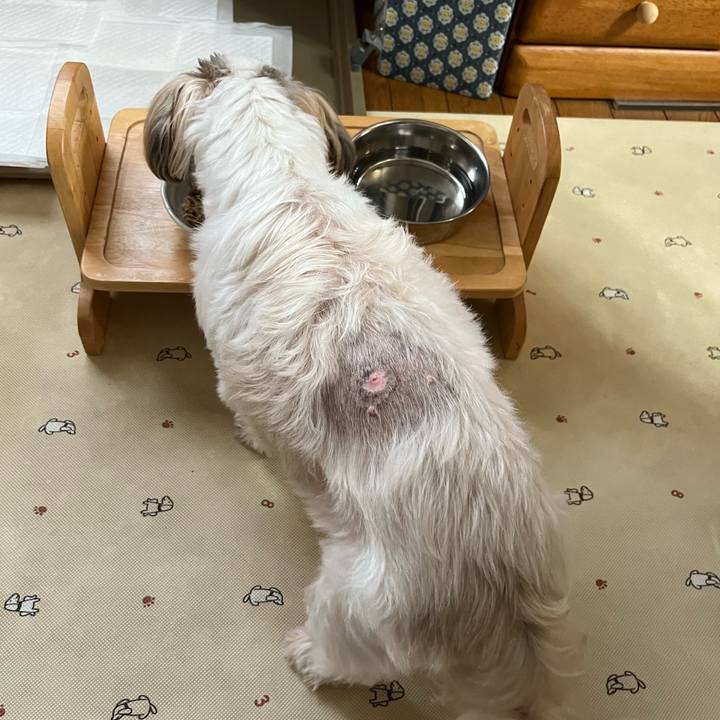 Dbe3d03e 1608 419f bd05 e45a72391249 1726741415956