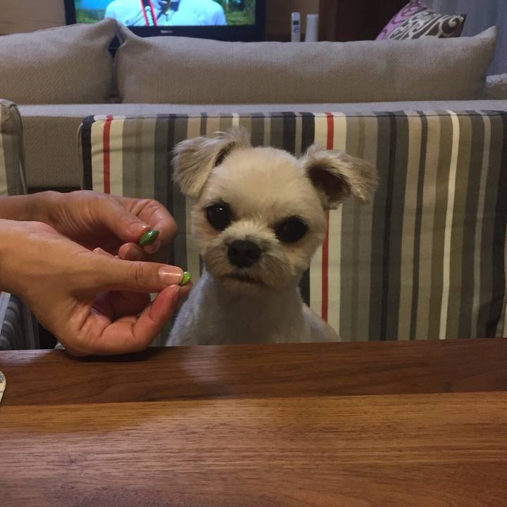 Dbe3ec6c 3e29 41bd b8f8 665739ff7f90 1534764281910