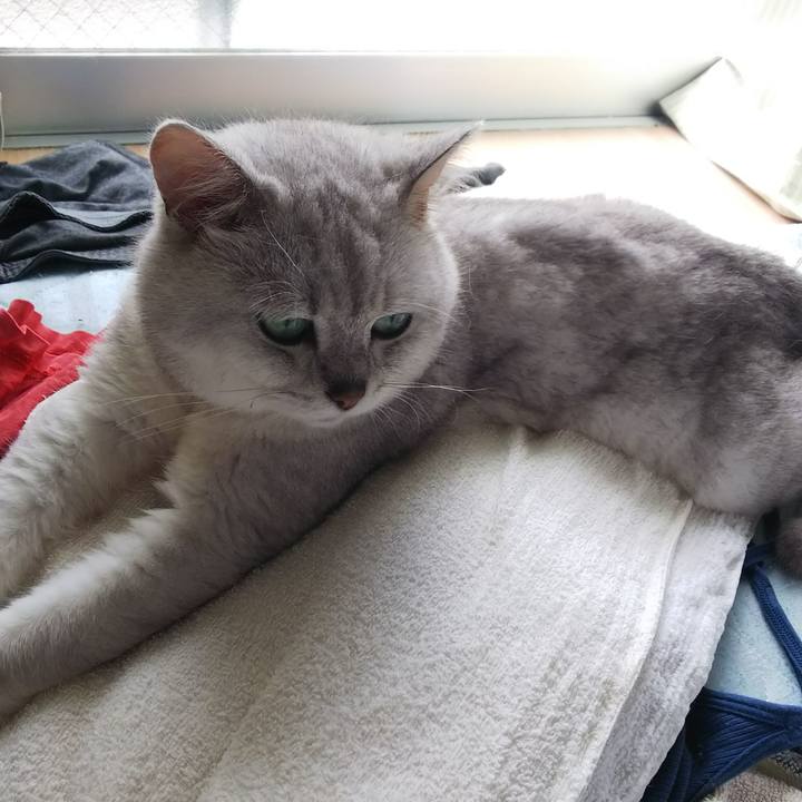 Dbe41ee1 8f6e 4a1d 893b b0300454434b 1529282782067