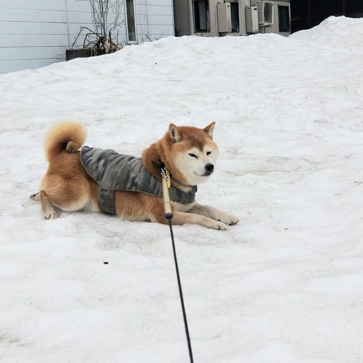 Dbe42e21 3694 41dd b8c4 4acee94c18ba 1648524472258