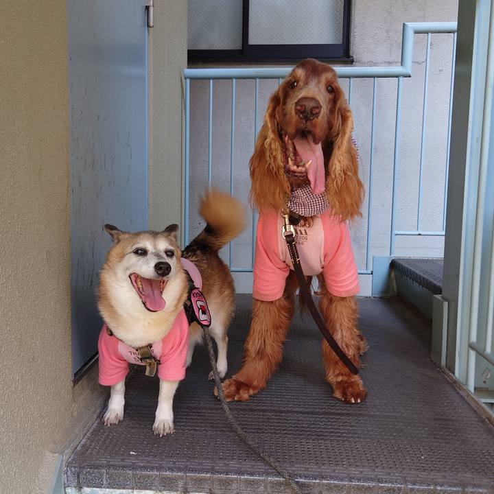 Dbe43e56 ef00 4364 92f1 7f1f9377184c 1698468852204