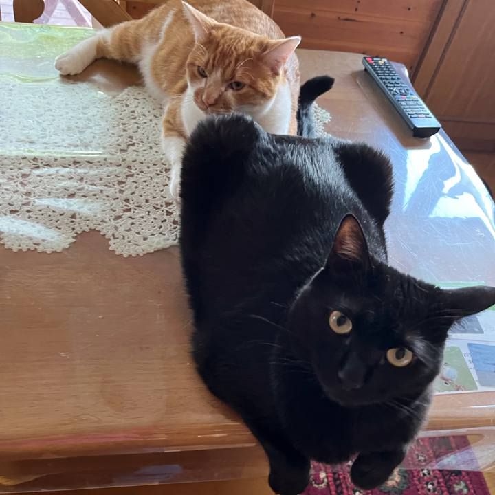 Dbe46703 7ad3 4214 999a bf08e14c1f19 1685616170766