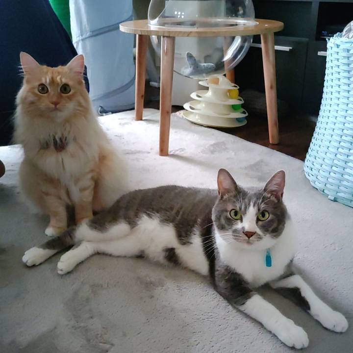 Dbe4b2fd 8099 4a00 887d 83aa39947fa3 1654908769044