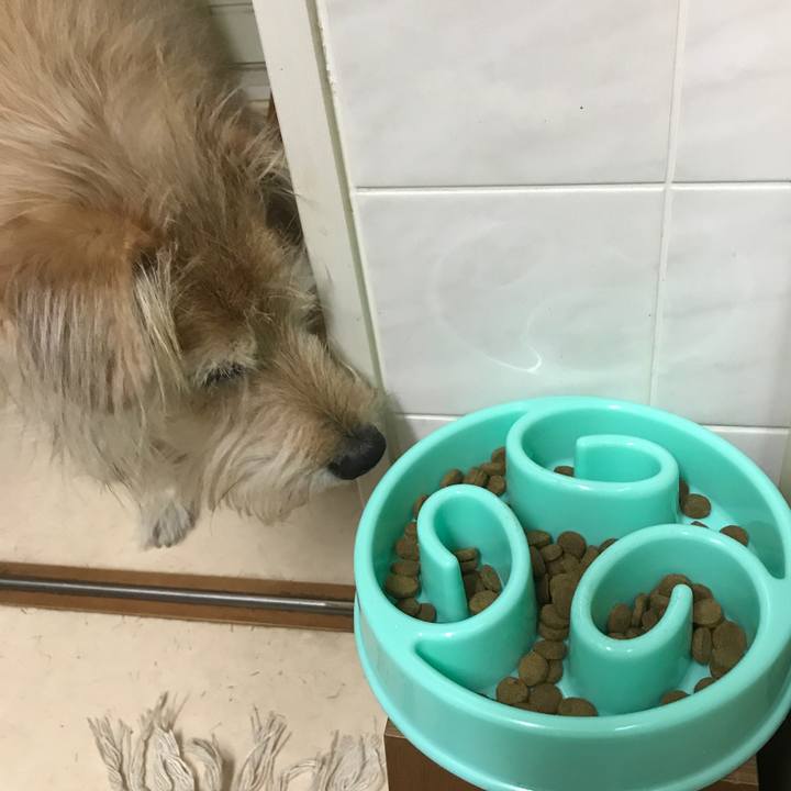 Dbe4f13e c60d 4393 a9a6 5c083f0ef5ad 1546005778246