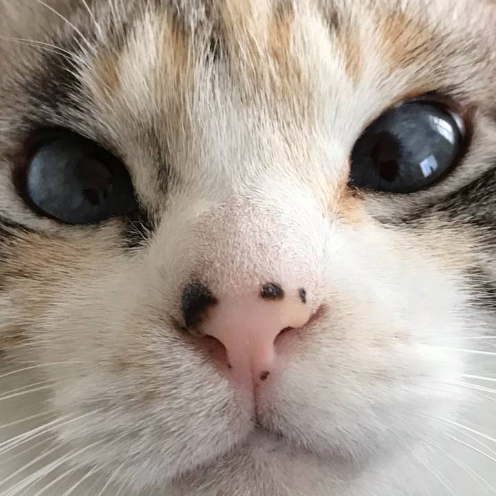 Dbe507d3 873f 42e6 a7f4 6d2b029f9141 1547208130494