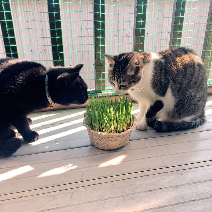 Dbe53184 8dd7 44b9 9c76 2691a4de859b 1519430546720