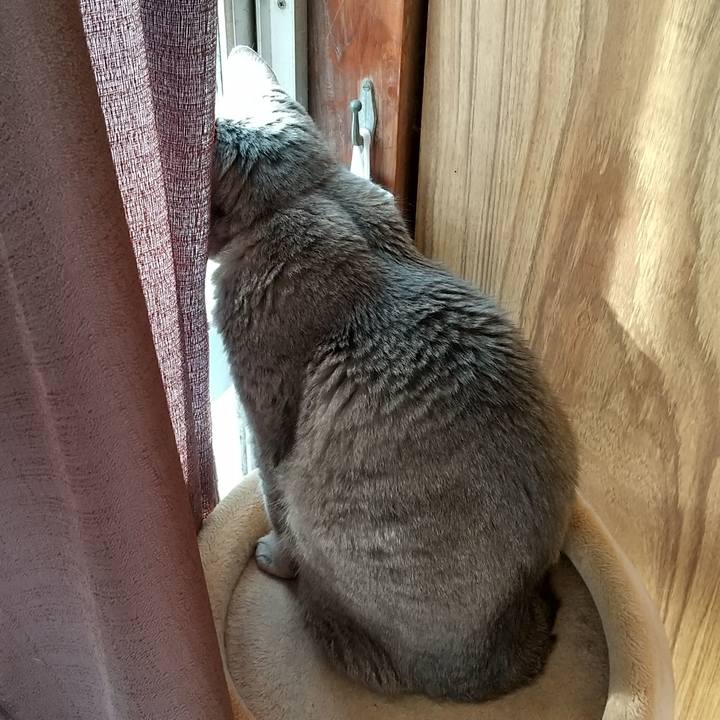 Dbe564df 7e4a 48ac 9827 0561081068d3 1670023608349