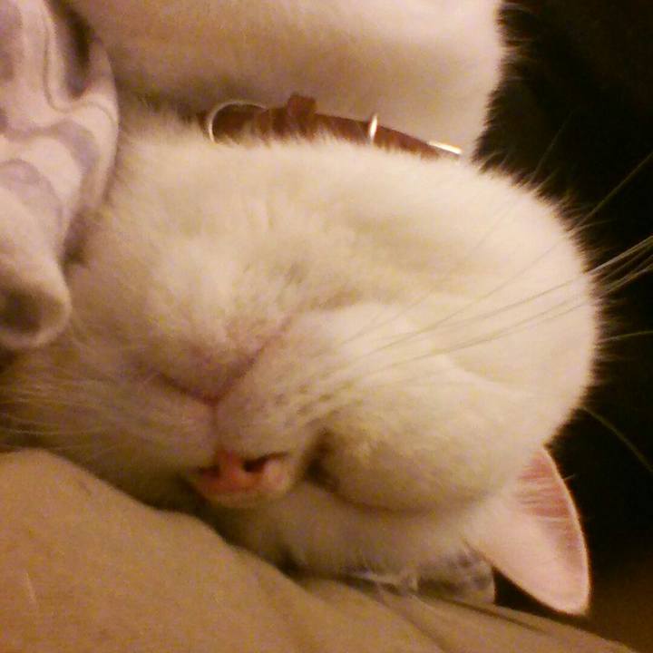 Dbe56d61 6e37 437a ba06 1af9317ff09a 1536475917606