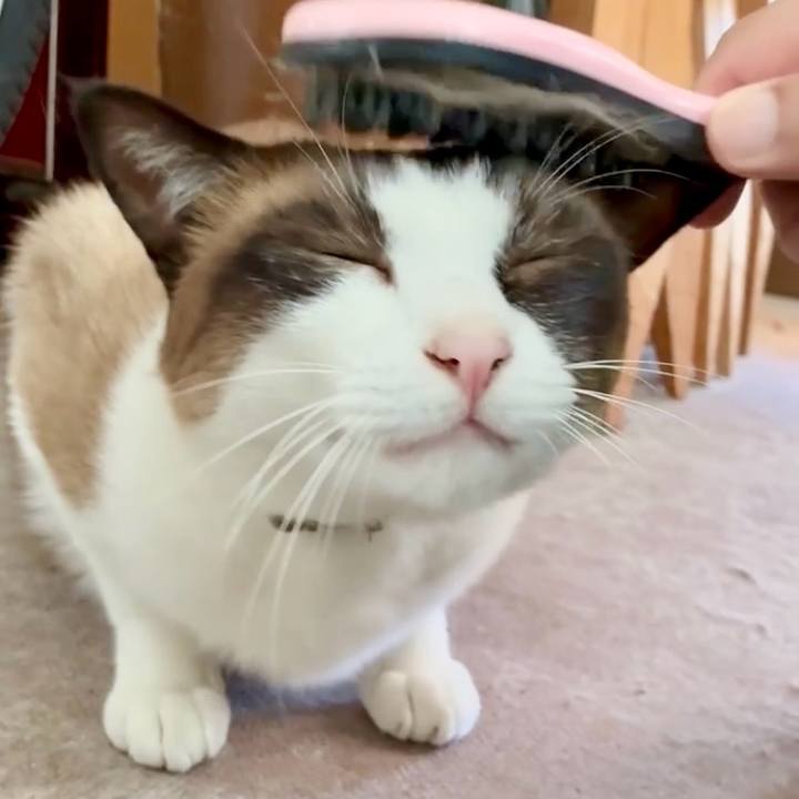 Dbe56dea 3339 4c40 b50e 7b9317226378 1753925210355