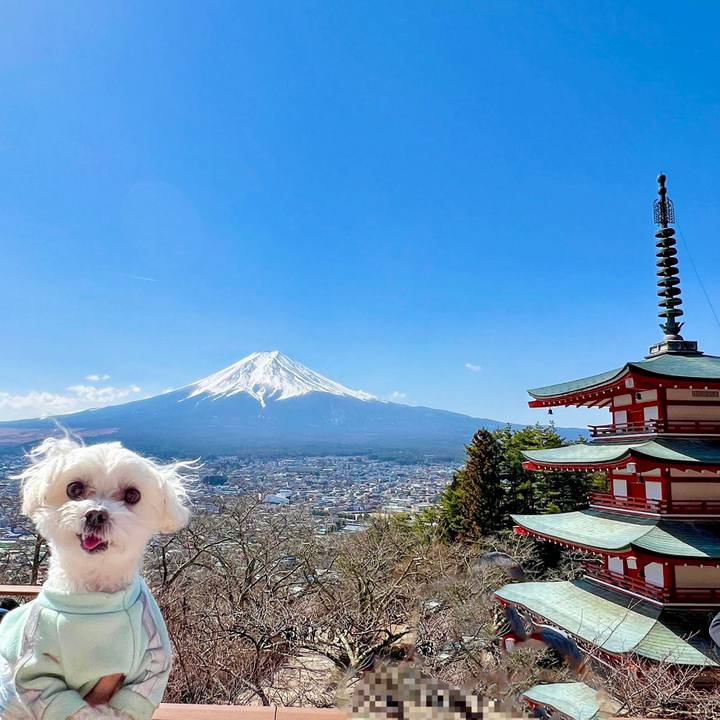 Dbe5702e e421 4d98 895a 0b806281408e 1678532857636