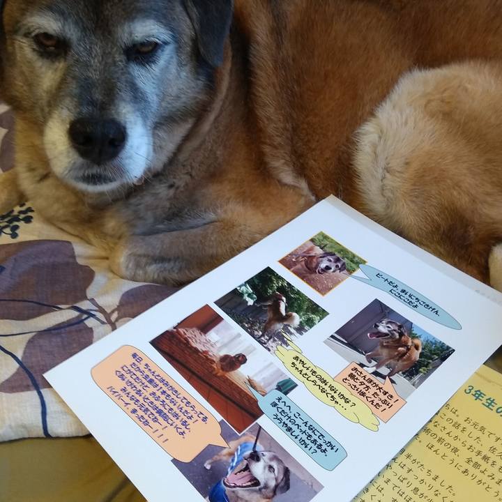 Dbe589ac b4a5 4899 aa53 d6d1b701bb2d 1562920560208