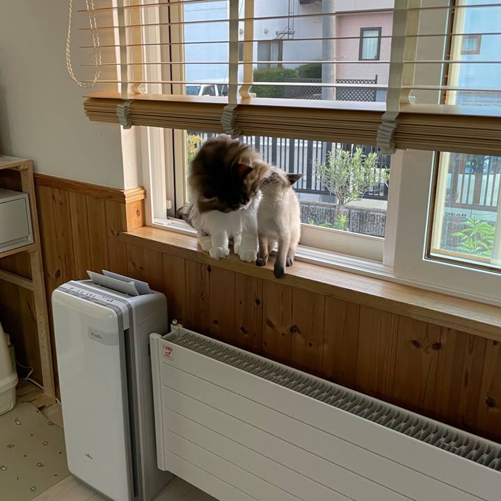 Dbe5d166 8003 49f5 97d0 fbc05d829bc4 1688984580648