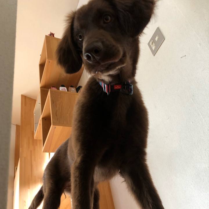 Dbe5df05 5030 4f7d 9342 9a057592c91f 1557177318670