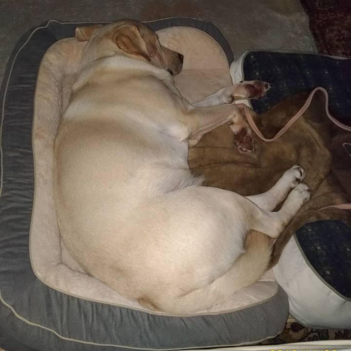 Dbe5e43e 970d 4062 b1f0 e51f89f3cb9b 1574915818567