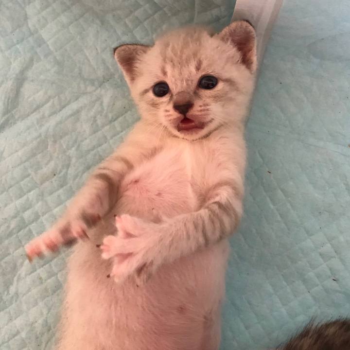 Dbe61950 9df5 48eb bff2 b54cee872fe0 1596717324238