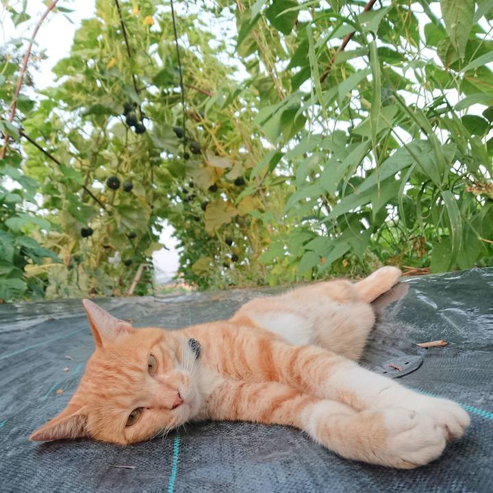 Dbe634de 2782 433d b0d8 42e8714d471b 1564739111961