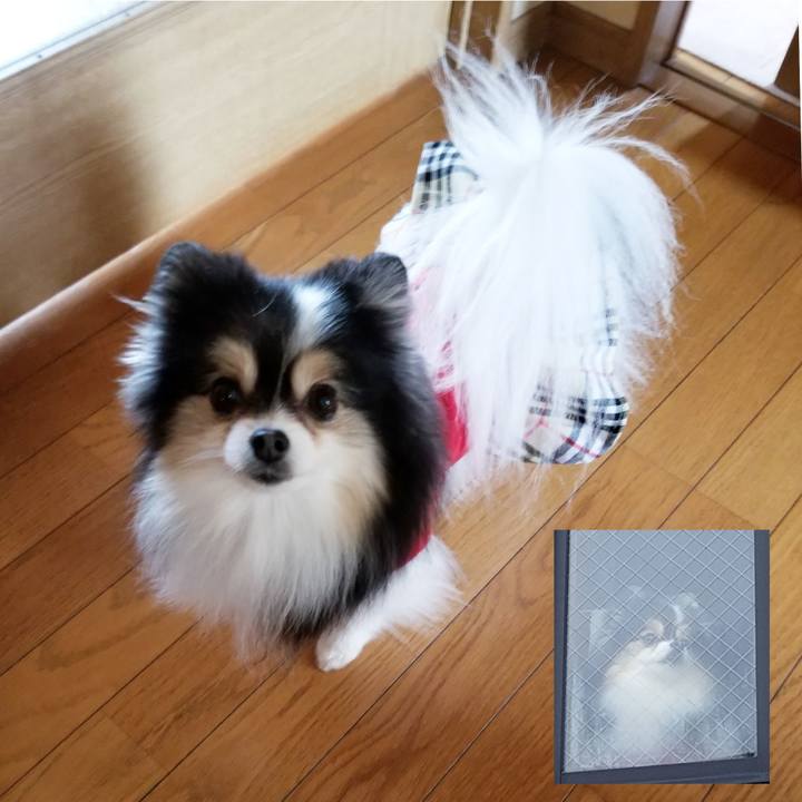 Dbe68b24 7ee8 4d5c 8678 70f6b465042d 1581635387874