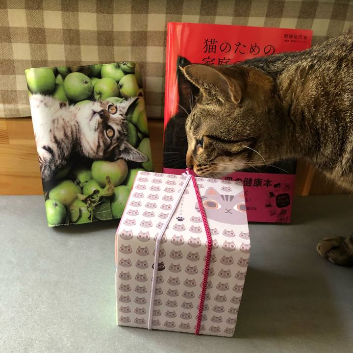 Dbe69a7e 24ed 4088 914b c9098e771fff 1526044788665