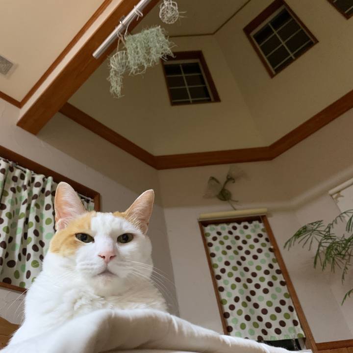 Dbe6f2c0 ae15 46fc 82c9 262639c589c0 1657460025724