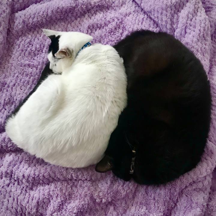 Dbe6f3a0 6180 46fe aec0 389d24e43a90 1605082071628