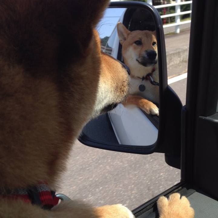 Dbe714d5 2416 47b6 9a0e 901795c7fefb 1566296636386