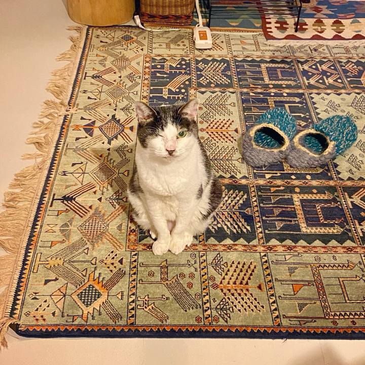 Dbe75048 0aa6 424d b216 c6fd8e88709a 1610369949006