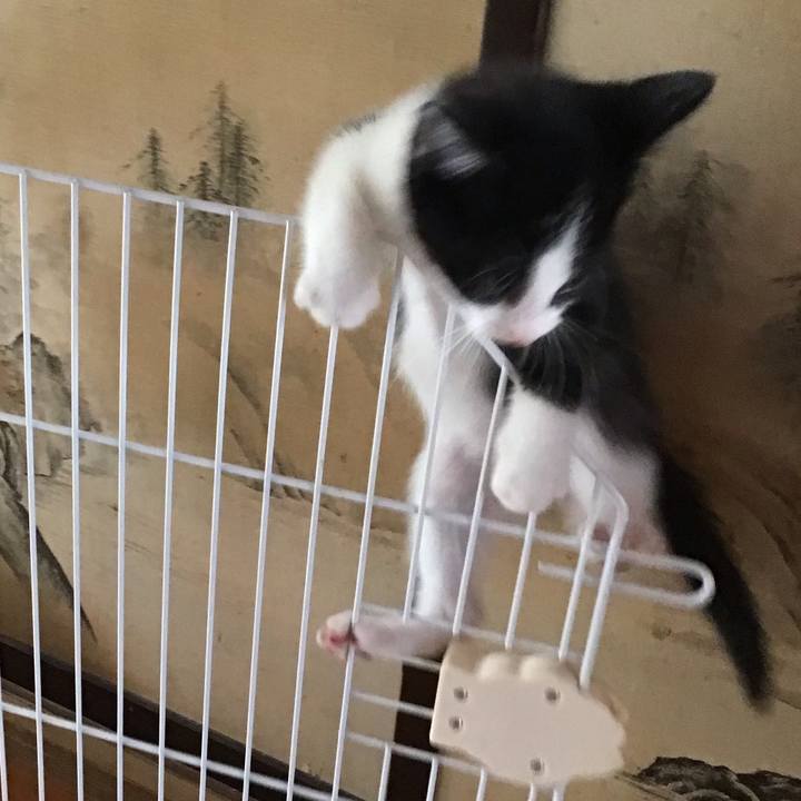 Dbe777c1 6c42 4469 9a1c 9b642fba1025 1623568963410