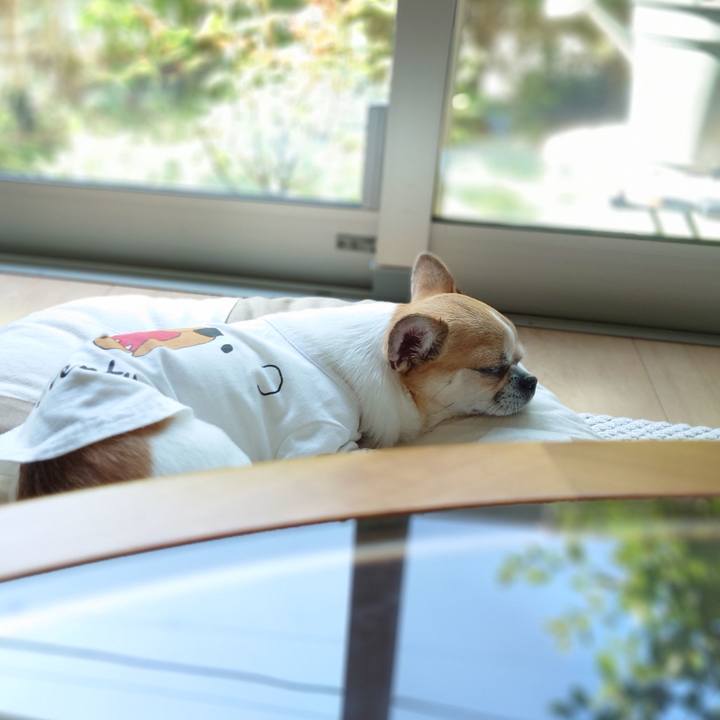 Dbe7b386 9c8b 4844 8c79 03cd10af2ad2 1689719480260