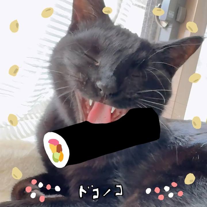 Dbe7c95d 5c54 4dfe a94f 939754199306 1741094997913