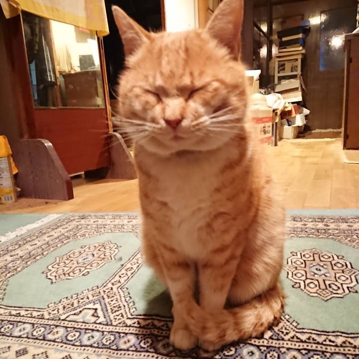 Dbe7c9cb 4db8 4cc6 bf7d c70e4faf43a9 1580374579102