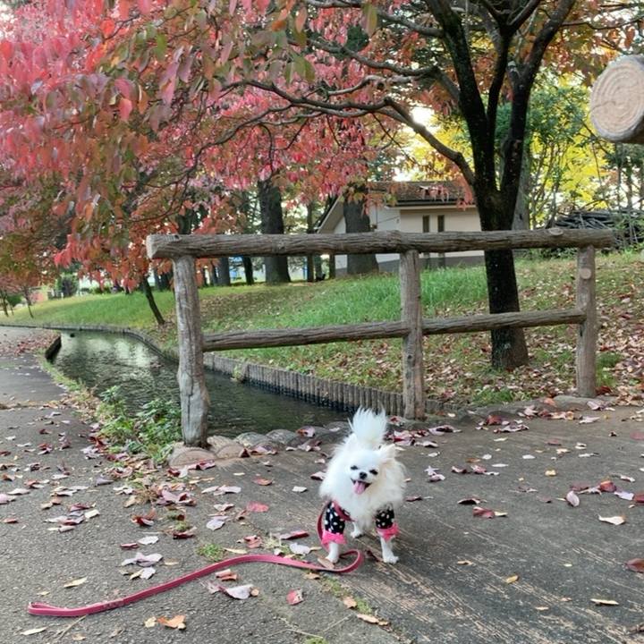 Dbe7e499 aca2 4566 982f d3856b02d733 1731669251317