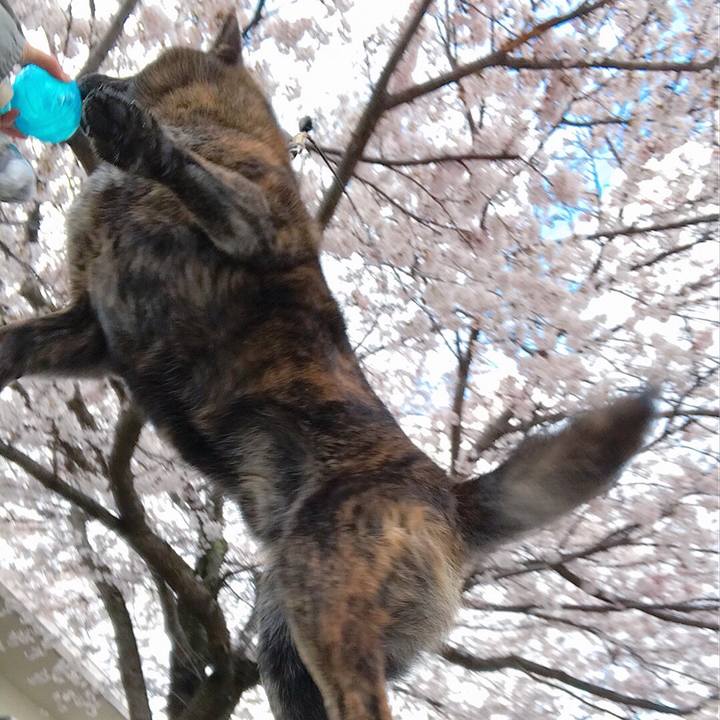 Dbe81ca8 7991 44cf 97d7 da10de6c0cf5 1523261050843