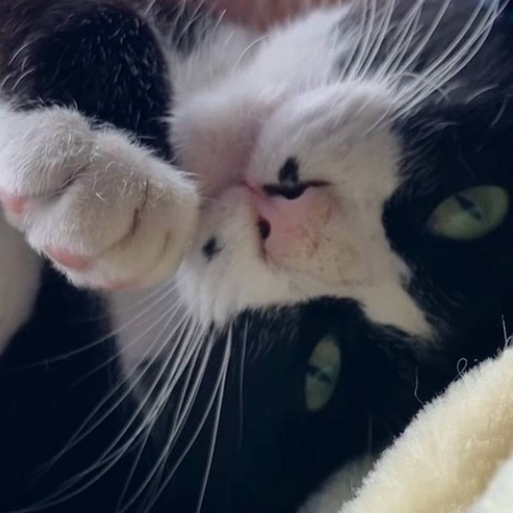 Dbe82568 e059 43e1 b60a 8f6768c0d3f6 1737856558965