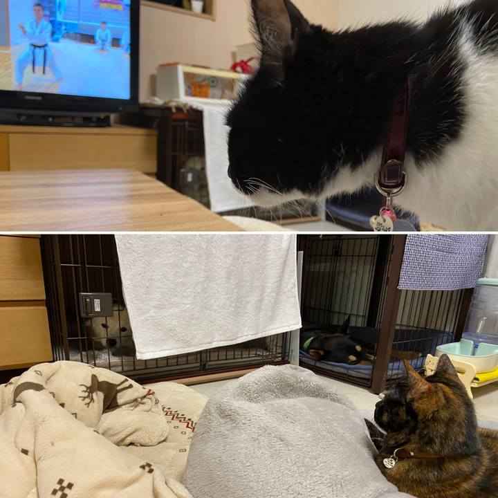 Dbe837e0 3207 45d1 9c24 81a57792174e 1648518176019