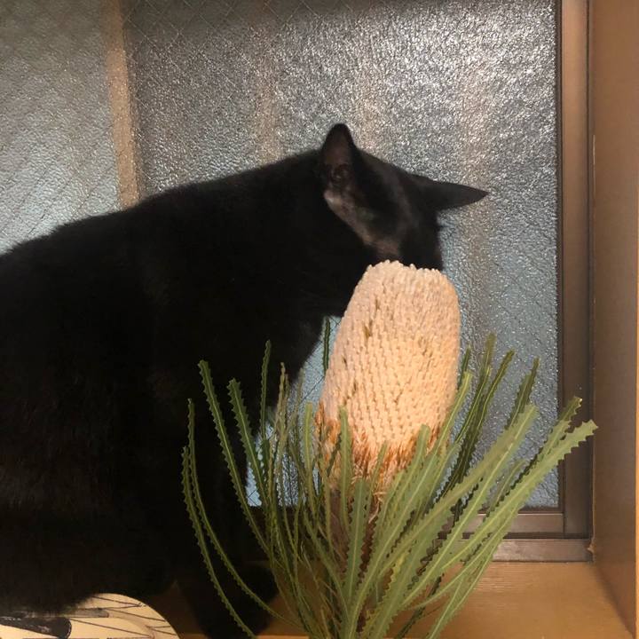 Dbe84640 a08c 483a a0a6 271e044d0c75 1562859052736