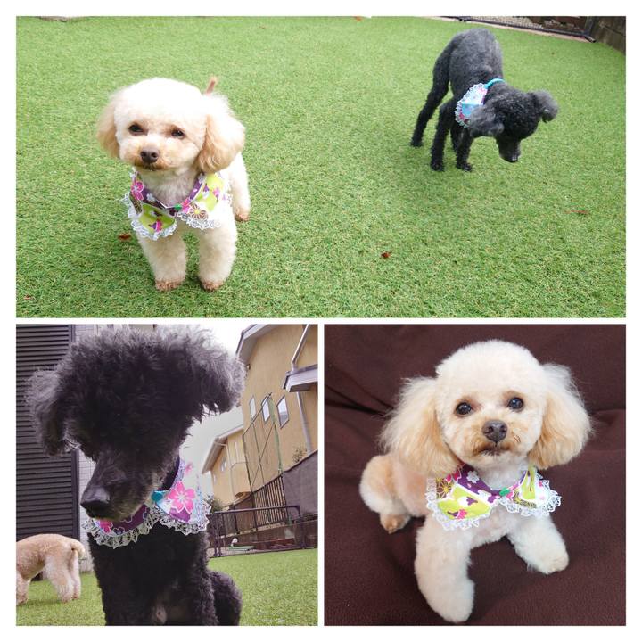 Dbe8f713 418e 4cd9 8ed6 6a6dc2e81158 1775372839950