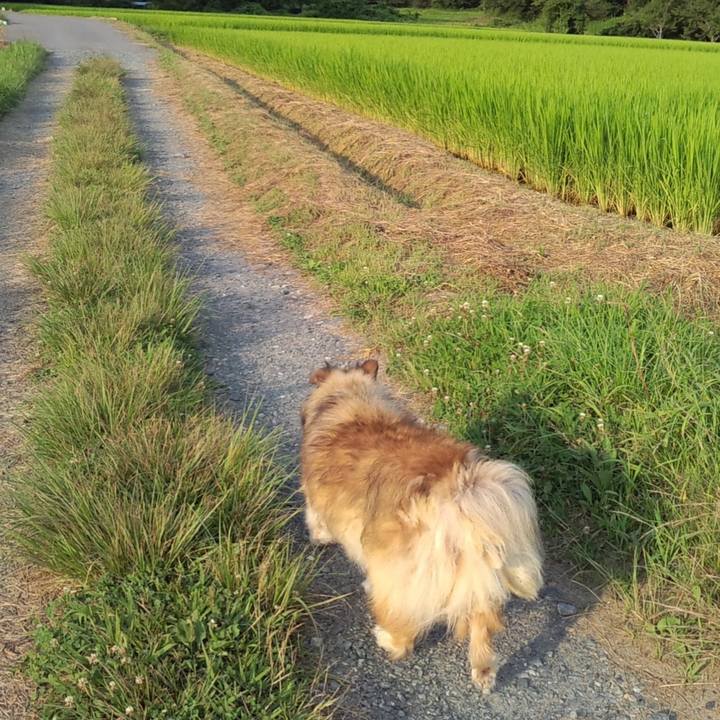 Dbe91bf6 e4a7 4d83 b41d 65a20375dd04 1607163880896