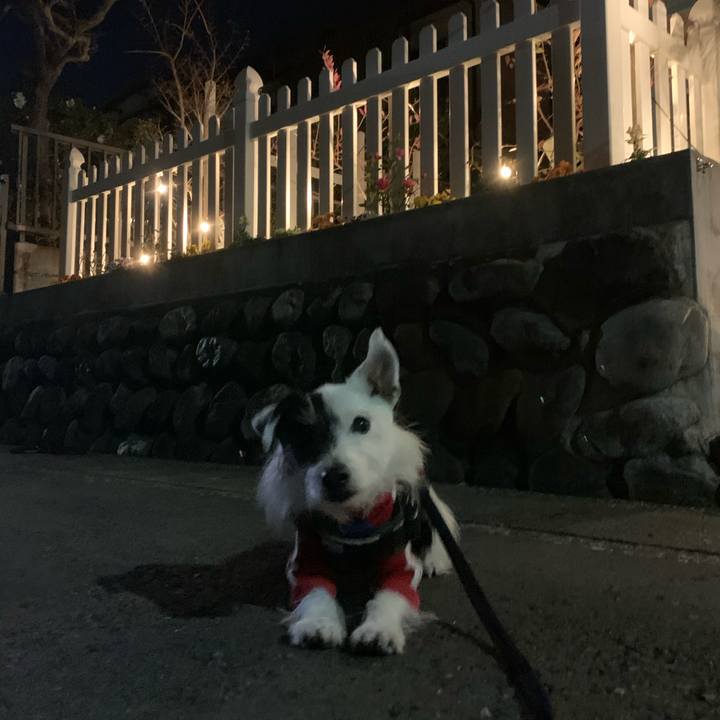 Dbe92e79 5293 4b0e 9fe5 4682887e9dd8 1734440093612