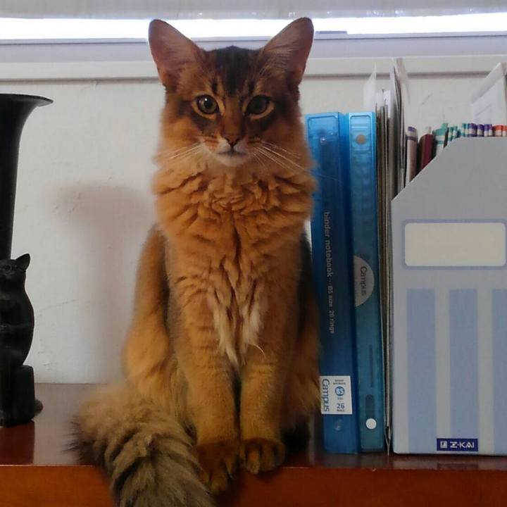 Dbe984b6 8453 4113 9f34 b12adc782920 1576192711316